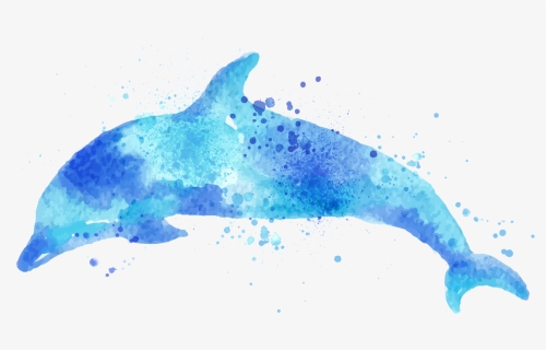 Watercolor Dolphin Png , Png Download, Transparent Png, Transparent PNG