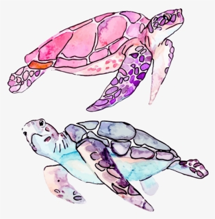 Watercolor Sea Turtle Png, Transparent Png, Transparent PNG