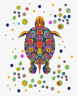 Turtle, HD Png Download, Transparent PNG