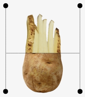 Potato Png, Transparent Png, Transparent PNG