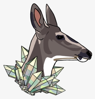 Deer Png, Transparent Png, Transparent PNG