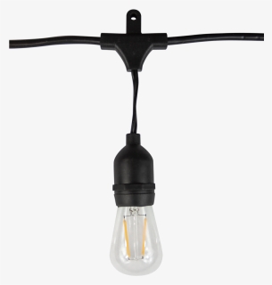 Bistro String Lights Line Voltage S14 Filament Lamps, HD Png Download, Transparent PNG