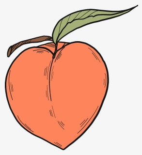 Peach Clipart, HD Png Download, Transparent PNG