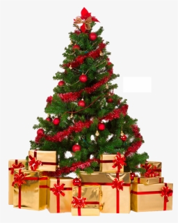 Network Tree Day Decorations Graphics Christmas Portable, HD Png Download, Transparent PNG