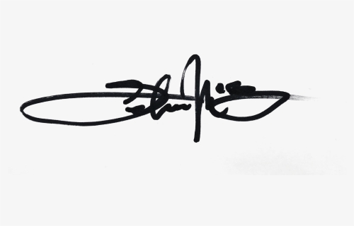 lebron signature