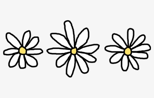 Flower Common Daisy Clip Art Transprent, HD Png Download, Transparent PNG