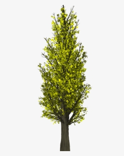 May Nature Png, Transparent Png, Transparent PNG