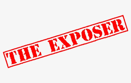 Exposed Stamp Png, Transparent Png, Transparent PNG