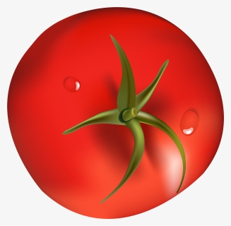 Tomato Png Clipart, Transparent Png, Transparent PNG