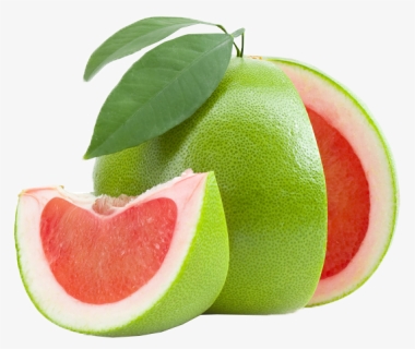 Common Citrus Fruit Png Image, Transparent Png, Transparent PNG