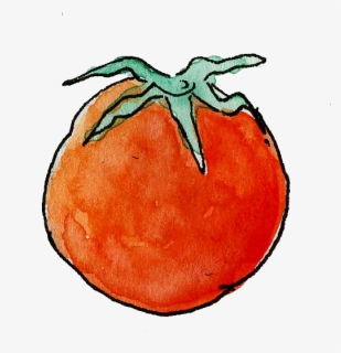 Tomato, HD Png Download, Transparent PNG