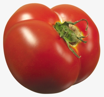 Tomato Png Images Free Download Jpg Transparent Stock, Png Download, Transparent PNG