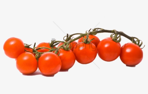 Free Png Tomato Png Image With Transparent Background, Png Download, Transparent PNG