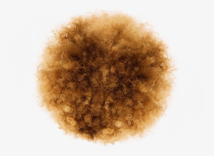 Brown Afro Png, Transparent Png, Transparent PNG