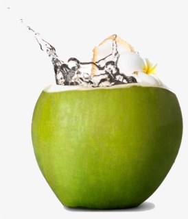 Fresh Green Coconut Png Download Image, Transparent Png, Transparent PNG