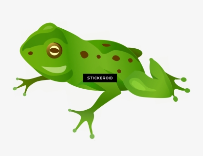 Frog , Png Download, Transparent Png, Transparent PNG