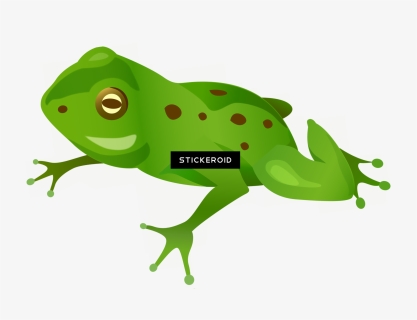 Frog , Png Download, Transparent Png, Transparent PNG