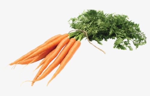 Carrot Png, Transparent Png, Transparent PNG