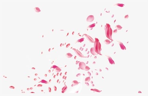 Flower Petals For Wedding, HD Png Download, Transparent PNG