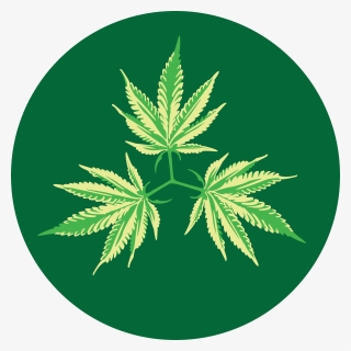Marijuana Leaf Png, Transparent Png, Transparent PNG