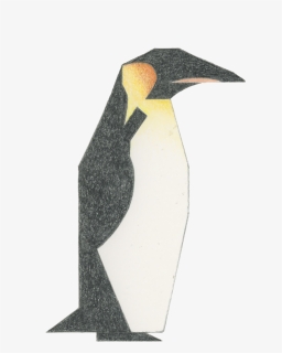 Penguin Png, Transparent Png, Transparent PNG