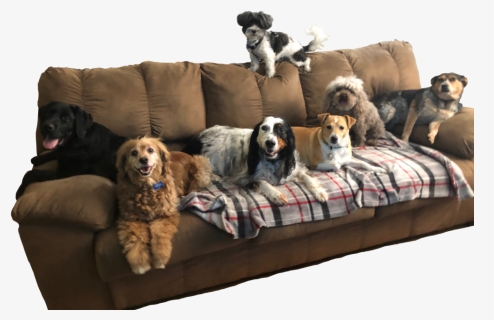 Couch, HD Png Download, Transparent PNG