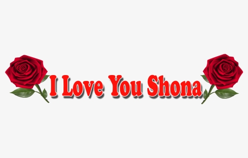 I Love You Shona Red Rose Png, Transparent Png , Transparent Png Image -  PNGitem