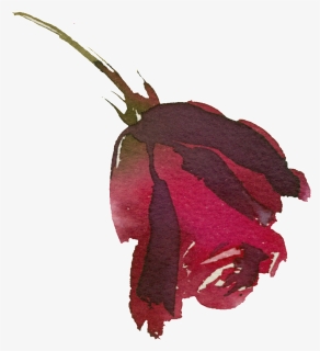 Hand Painted Bright Red Rose Png Transparent, Png Download, Transparent PNG