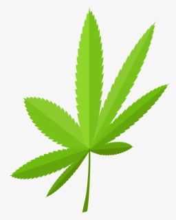 Weed Leaf Png, Transparent Png, Transparent PNG
