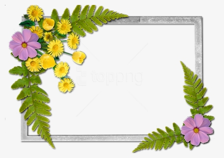 Free Png Flowers Frame Background Best Stock Photos, Transparent Png, Transparent PNG