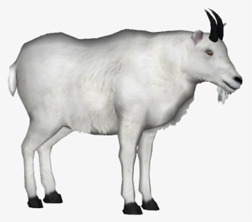 White Goat Png File, Transparent Png, Transparent PNG