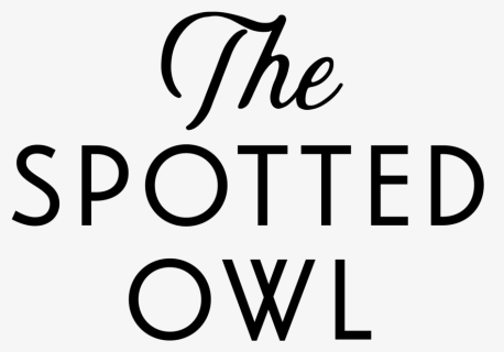 Owl Logotype, HD Png Download, Transparent PNG