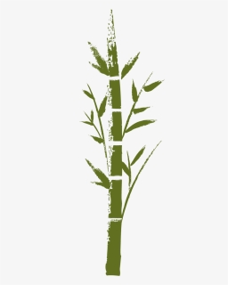 Transparent Bamboo Png, Png Download, Transparent PNG