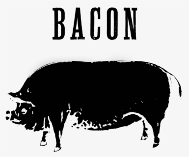 Bacon, HD Png Download, Transparent PNG