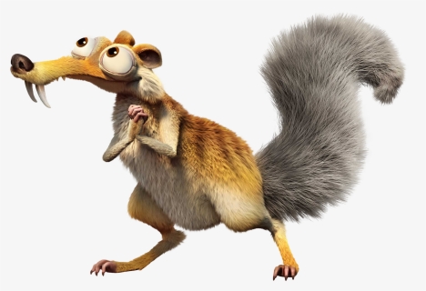 Squirrel Png, Transparent Png, Transparent PNG