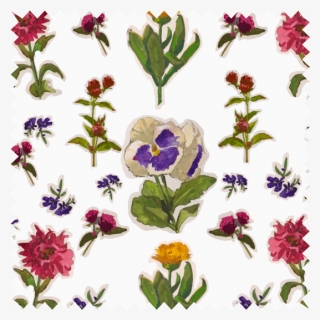 Pansies And Friends, HD Png Download, Transparent PNG