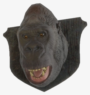 Gorilla Head Png, Transparent Png, Transparent PNG