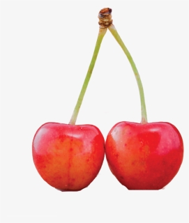 Red Cherry Png Free Background, Transparent Png, Transparent PNG