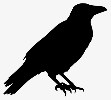 Halloween Crow Png Picture, Transparent Png, Transparent PNG