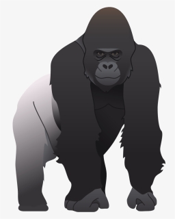 Gorilla Png, Transparent Png, Transparent PNG