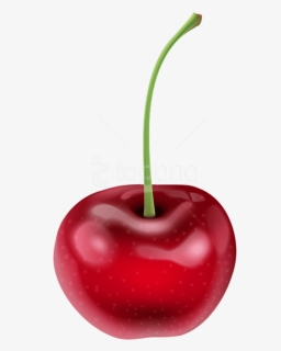 Transparent Red Cherry Clipart, HD Png Download, Transparent PNG