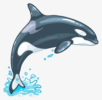Killer Whale Png File, Transparent Png, Transparent PNG