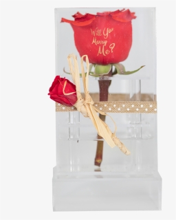 Preserved Rose In A Clear Acrylic Box, HD Png Download, Transparent PNG
