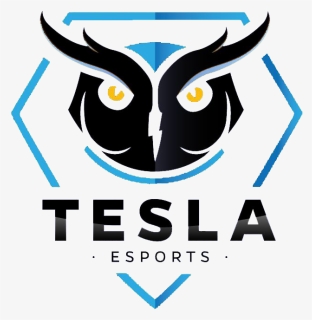 Tesla E-sportslogo Square, HD Png Download, Transparent PNG