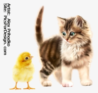 Kitten , Png Download, Transparent Png, Transparent PNG