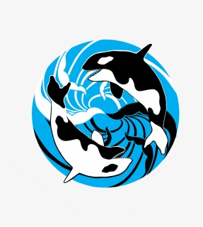 Wavywhales, HD Png Download, Transparent PNG