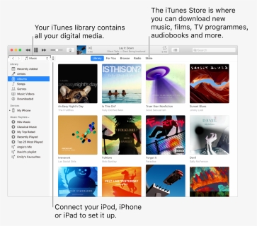 View Of The Itunes Window, HD Png Download, Transparent PNG