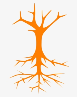 Tree Roots Stem Branches Naked Png Image, Transparent Png, Transparent PNG
