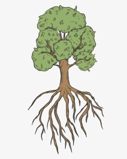 Tree With Roots Clipart, HD Png Download, Transparent PNG