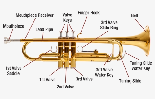 Trumpet Diagram Image, HD Png Download, Transparent PNG